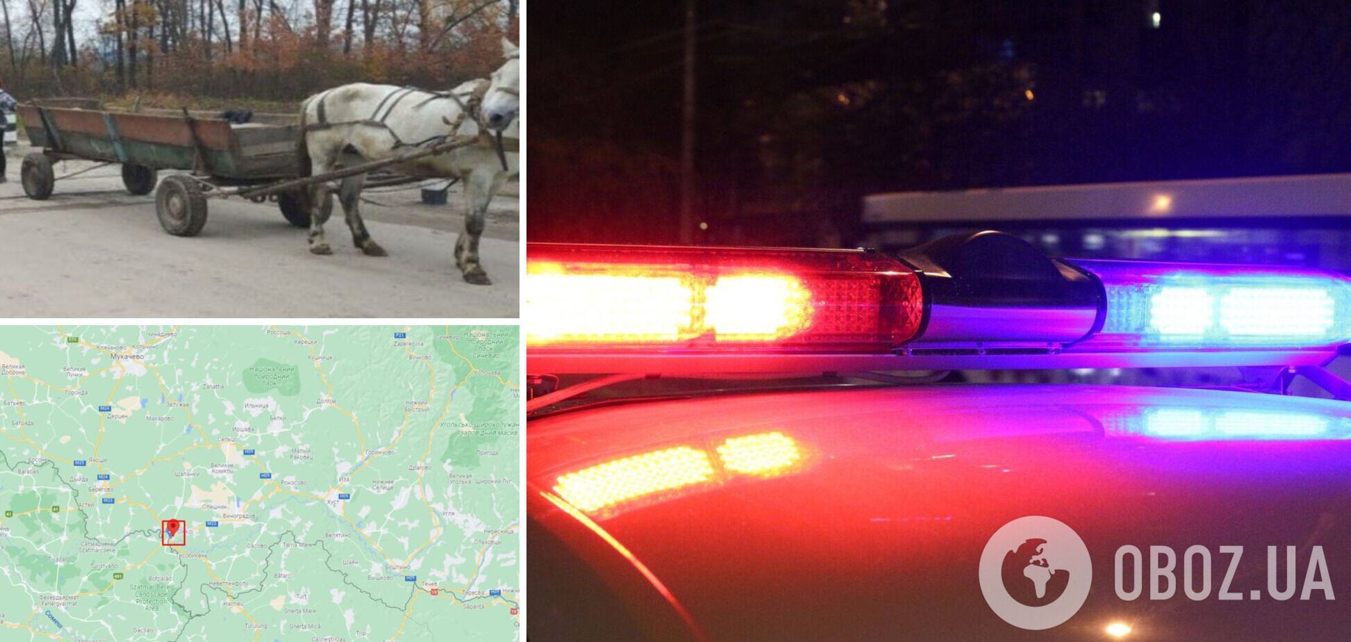 На Закарпатье водитель скрылся после смертельного ДТП с подводой. Видео