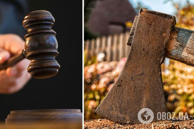 В Хмельницкой области суд приговорил мужчину к трем годам лишения свободы за вырубку трех деревьев