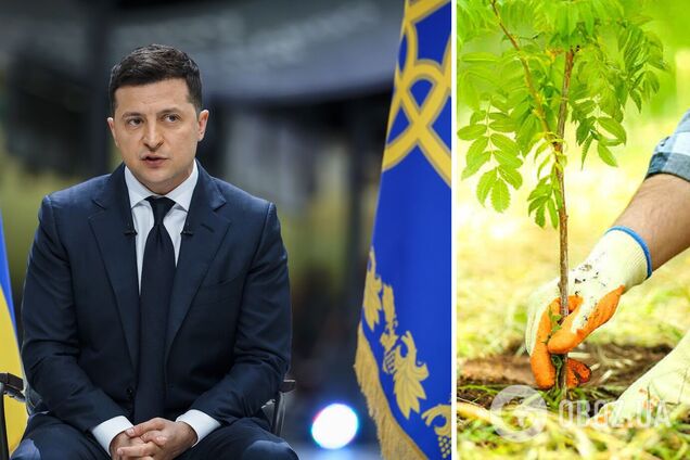 Указ Зеленского о 'миллиарде деревьев за три года' выполнили на 5,8%