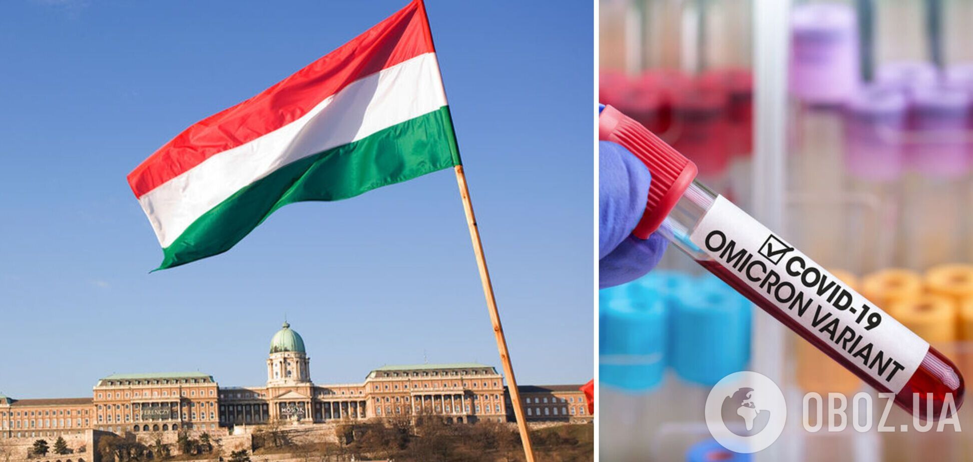 В Венгрии зафиксированы первые случаи штамма Омикрон: какая ситуация в стране