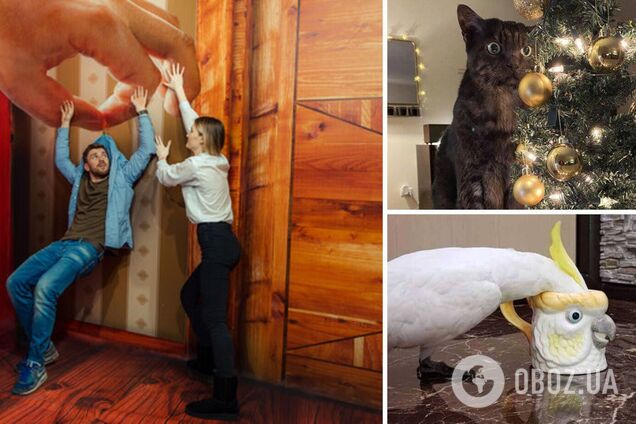 Фотоиллюзии озадачили пользователей сети