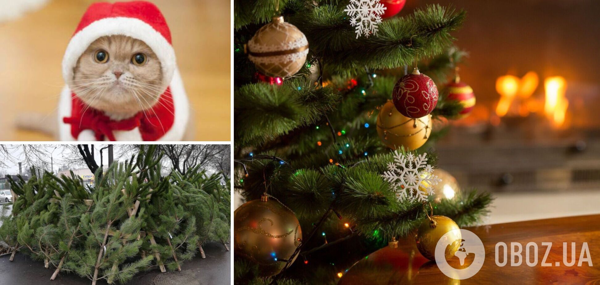 В какую сумму обойдется елка