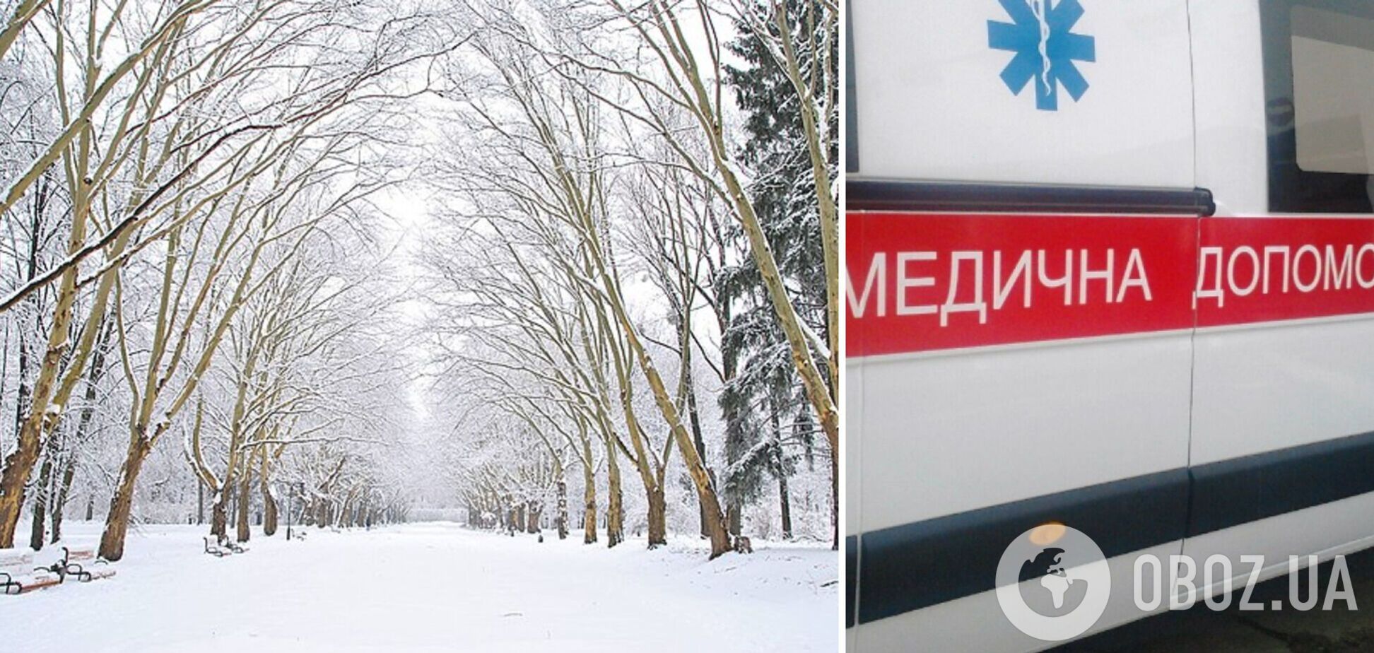 У Львові жінка отримала травму хребта через падіння гілки у парку