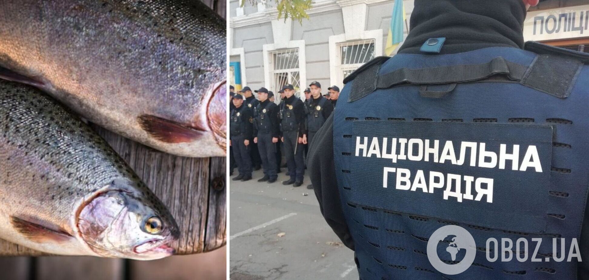 Нацгвардия купит для части в Харькове 106 кг красной рыбы