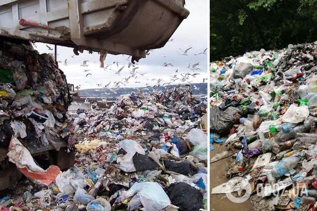 В Полтаве женщина 'завалила' двор своего дома мусором: собирает его по всему городу. Видео