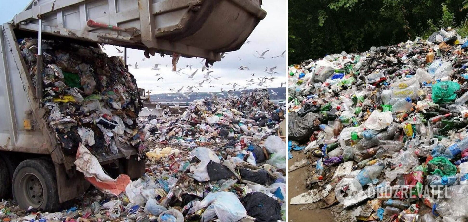 У Полтаві жінка завалила двір свого будинку сміттям: збирає його по всьому місту. Відео