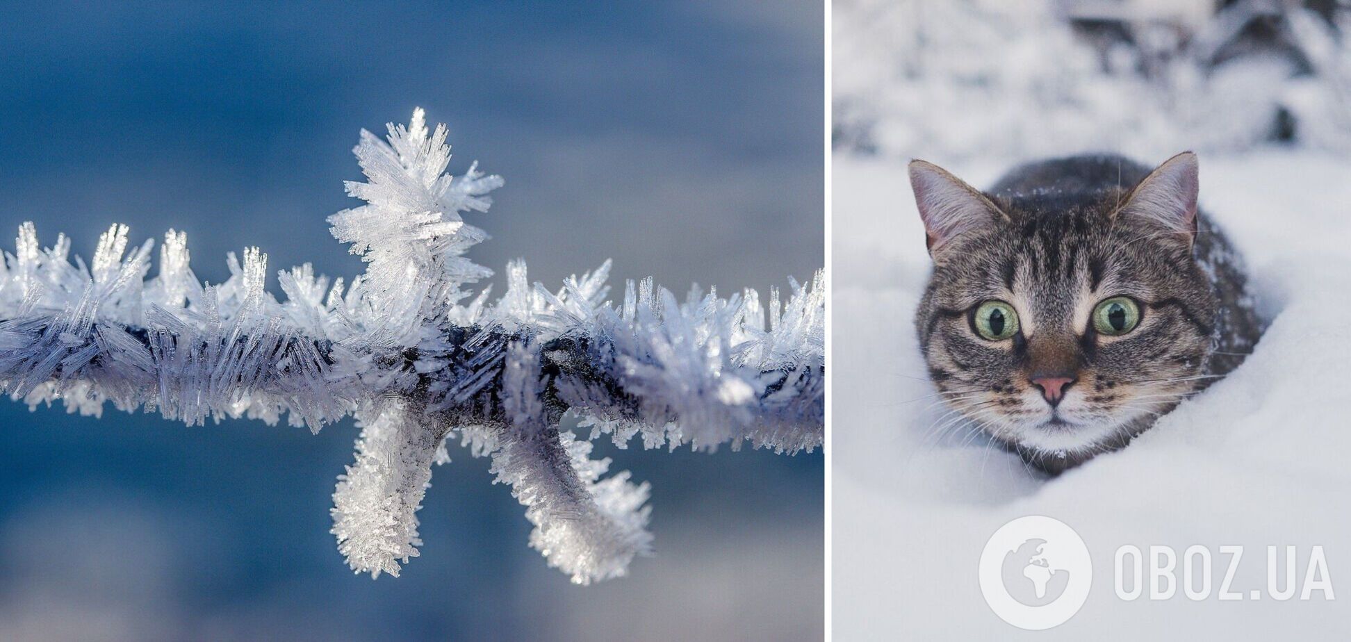 Дощі будуть поступатися місцем снігу