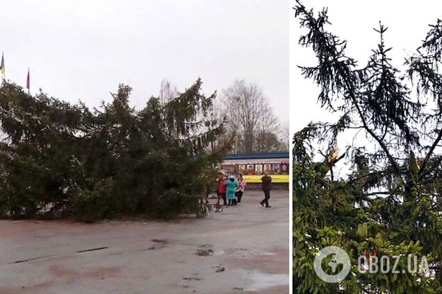 На Житомирщине новогодняя елка рухнула во время установки: до этого она оставила без интернета несколько сел