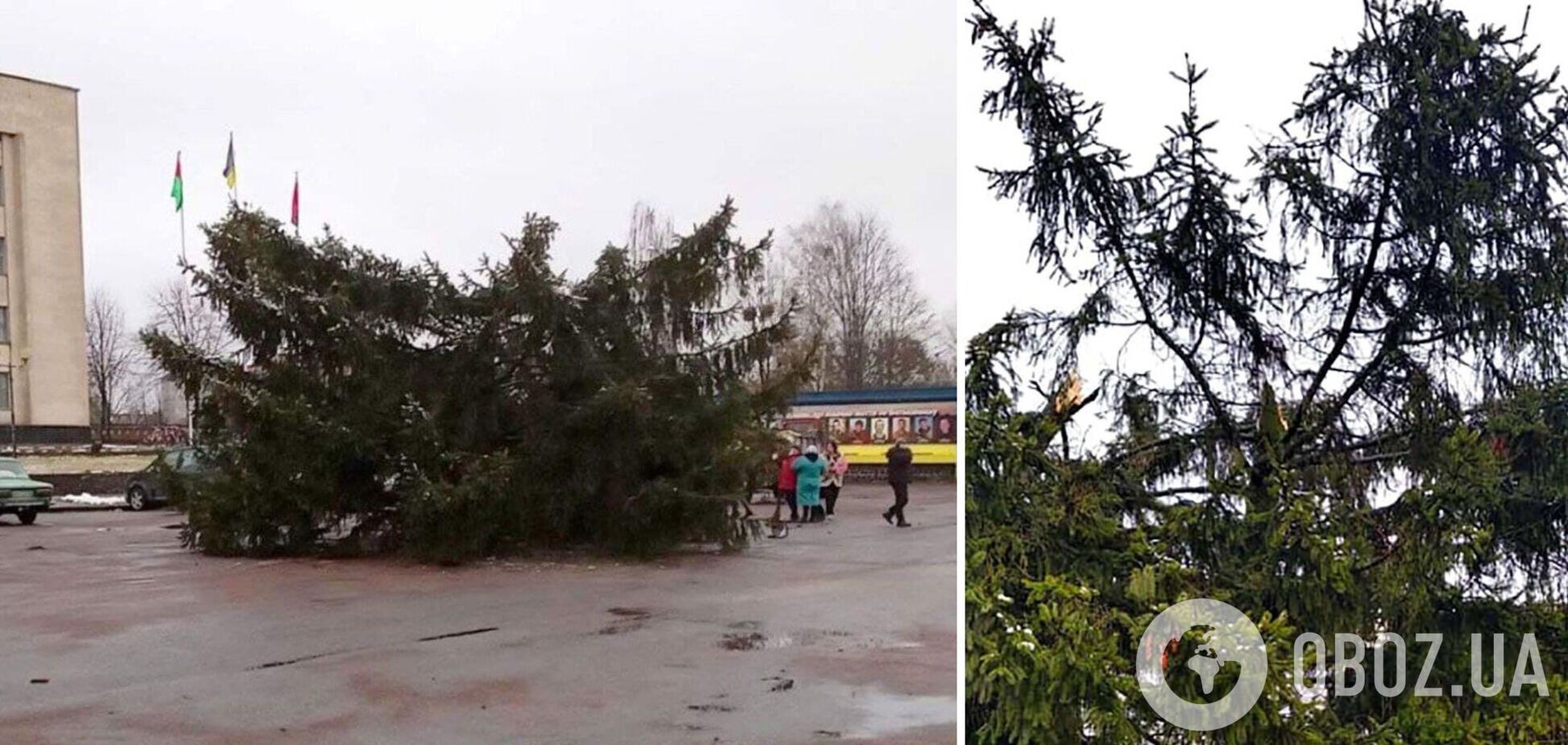 На Житомирщині новорічна ялинка впала під час встановлення: до цього вона залишила без інтернету кілька сіл
