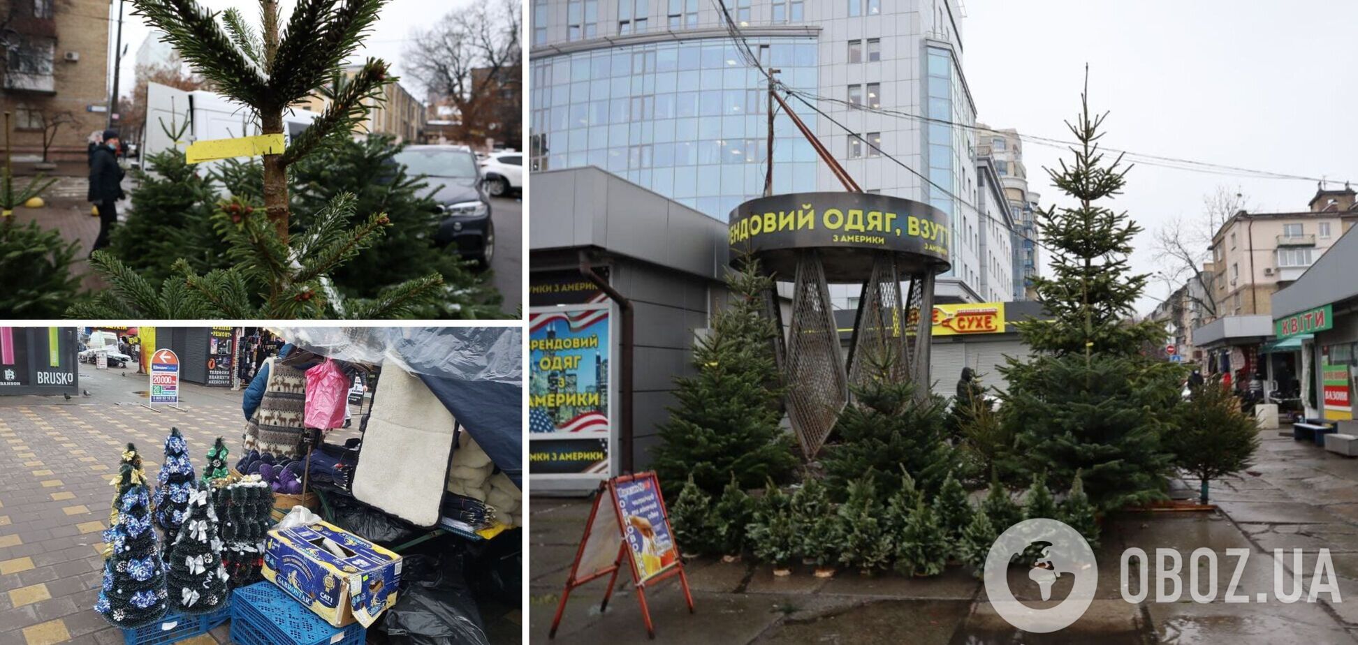 В столице открылись официальные елочные базары