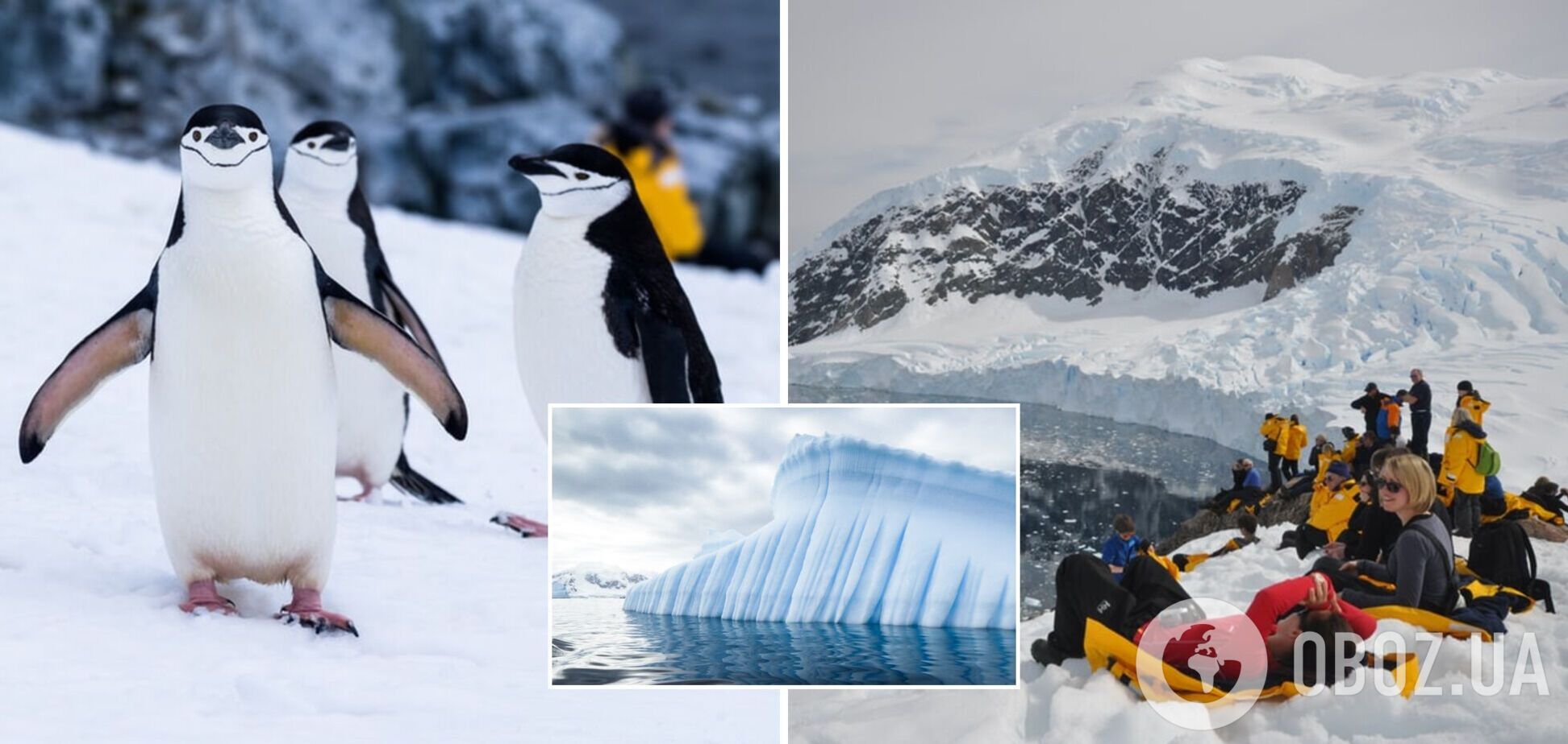 Вчені заявили, що протягом десяти років шельфовий льодовик Антарктики може тріснути: чим це загрожує