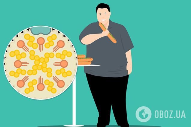 7 естественных способов снизить холестерин: врачи дали советы