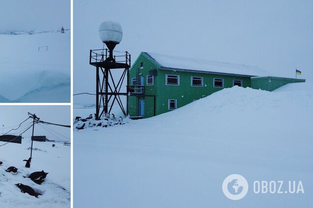 'До свята Миколи': на станції 'Академік Вернадський' зафіксували рекордний рівень снігу. Фото