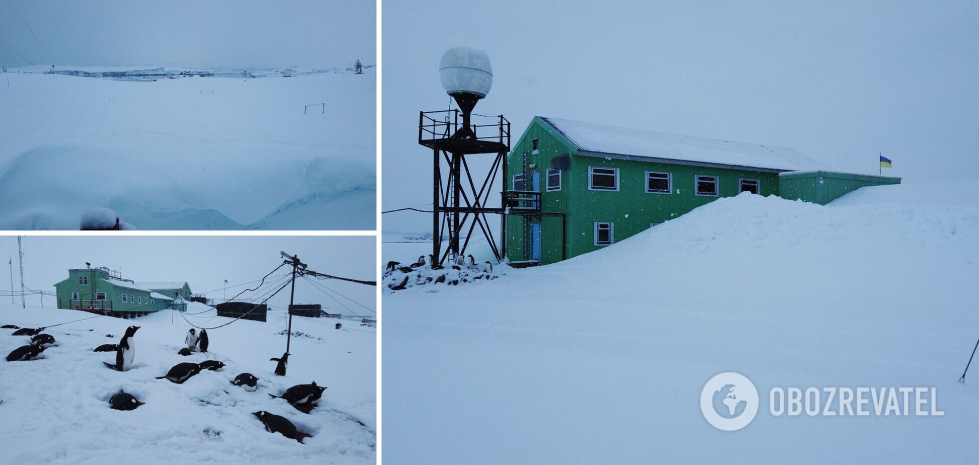'До свята Миколи': на станції 'Академік Вернадський' зафіксували рекордний рівень снігу. Фото