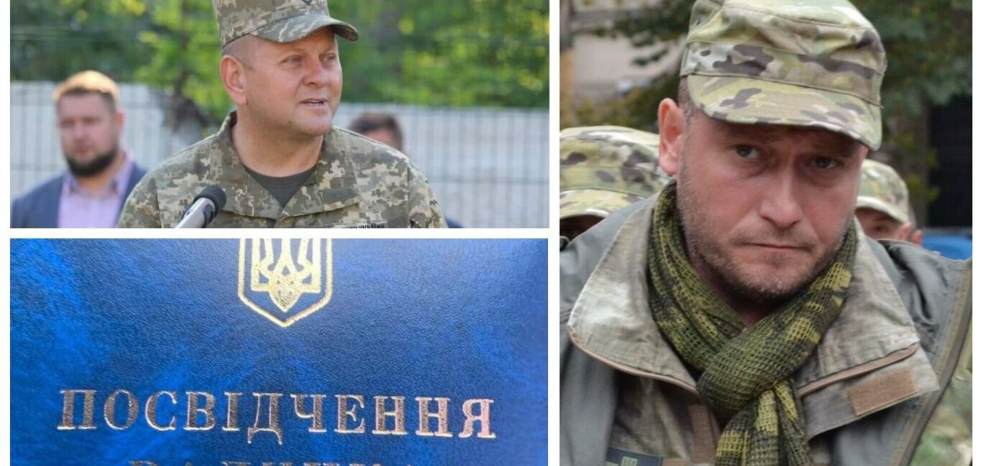 В ВСУ заявили, что Ярош не является советником главнокомандующего ВСУ Залужного