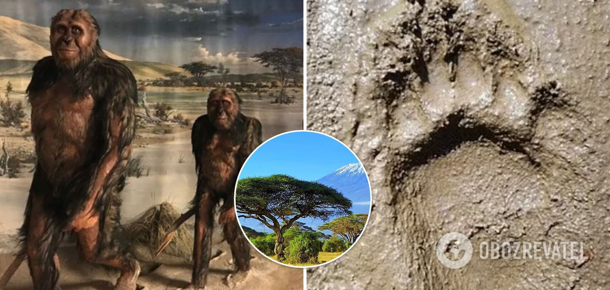 Вчені розгадали таємницю загадкових слідів у Танзанії: раніше їх 'приписували' ведмедям. Фото