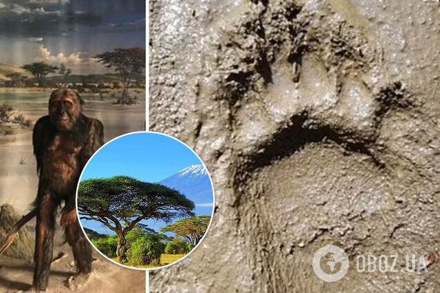 Ученые разгадали тайну загадочных следов в Танзании: ранее их 'приписывали' медведям. Фото