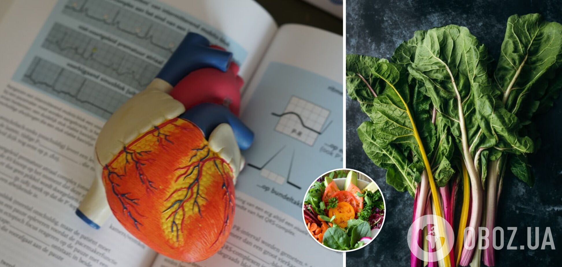 Вчені назвали овочі, вживання яких сприяє зниженню тиску