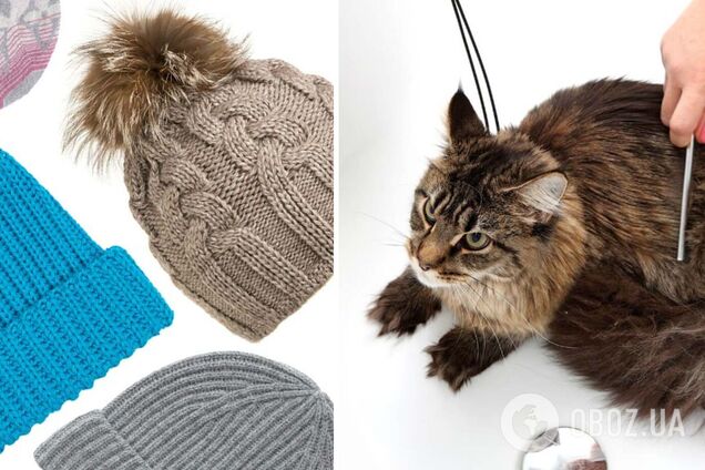 Блогерка зв'язала шапку з хутра кота: що з того вийшло. Відео