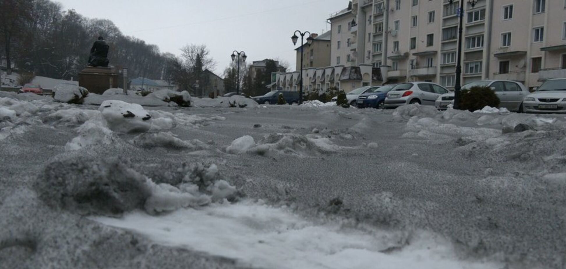В Госпродпотребслужбе опровергли заявление нардепа Фриса об анализах черного снега в Ивано-Франковской области