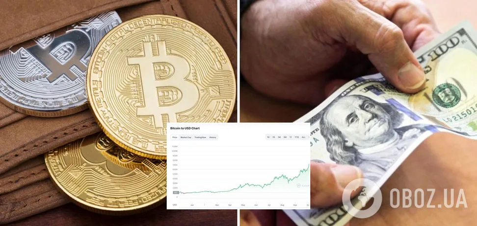Сколько можно заработать за год, если ежемесячно вкладывать 100 долларов в биткоин