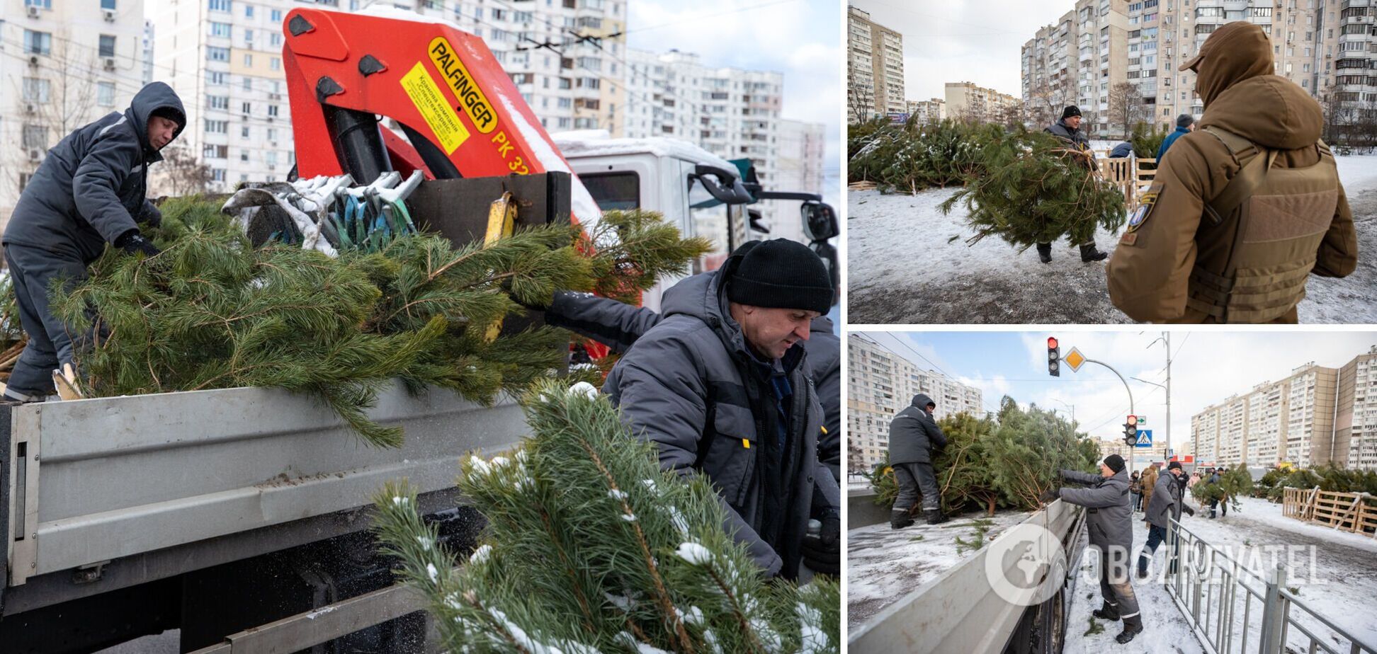 Коммунальщики демонтировали 9 незаконных елочных базаров