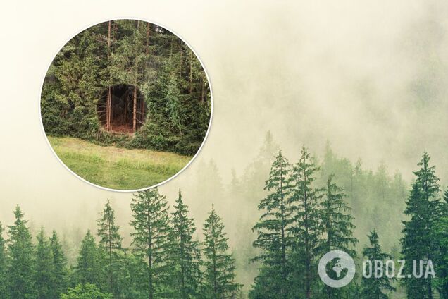 Дыра в лесу в Эстонии