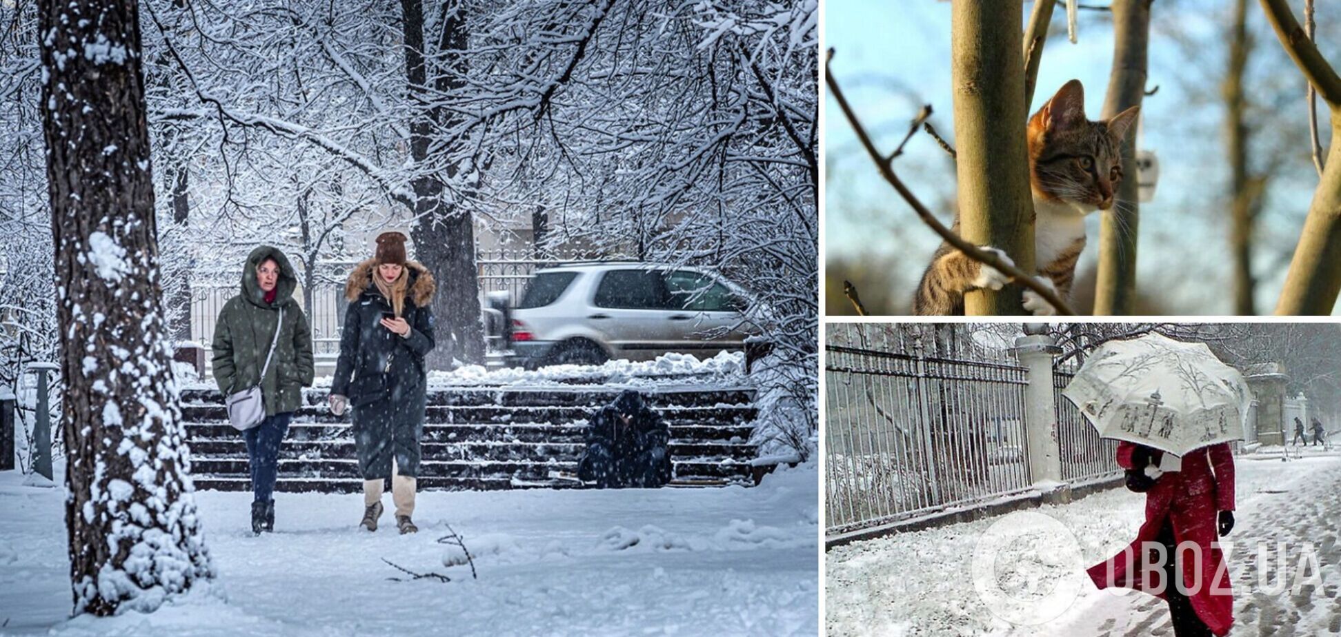В Украину после сильных морозов ворвется тепло: синоптик назвала дату