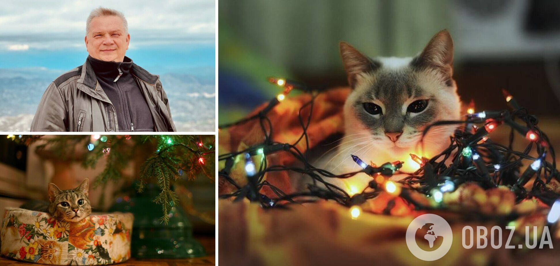 Кішка та Новорічна ніч: як улюблениця може допомогти господарям