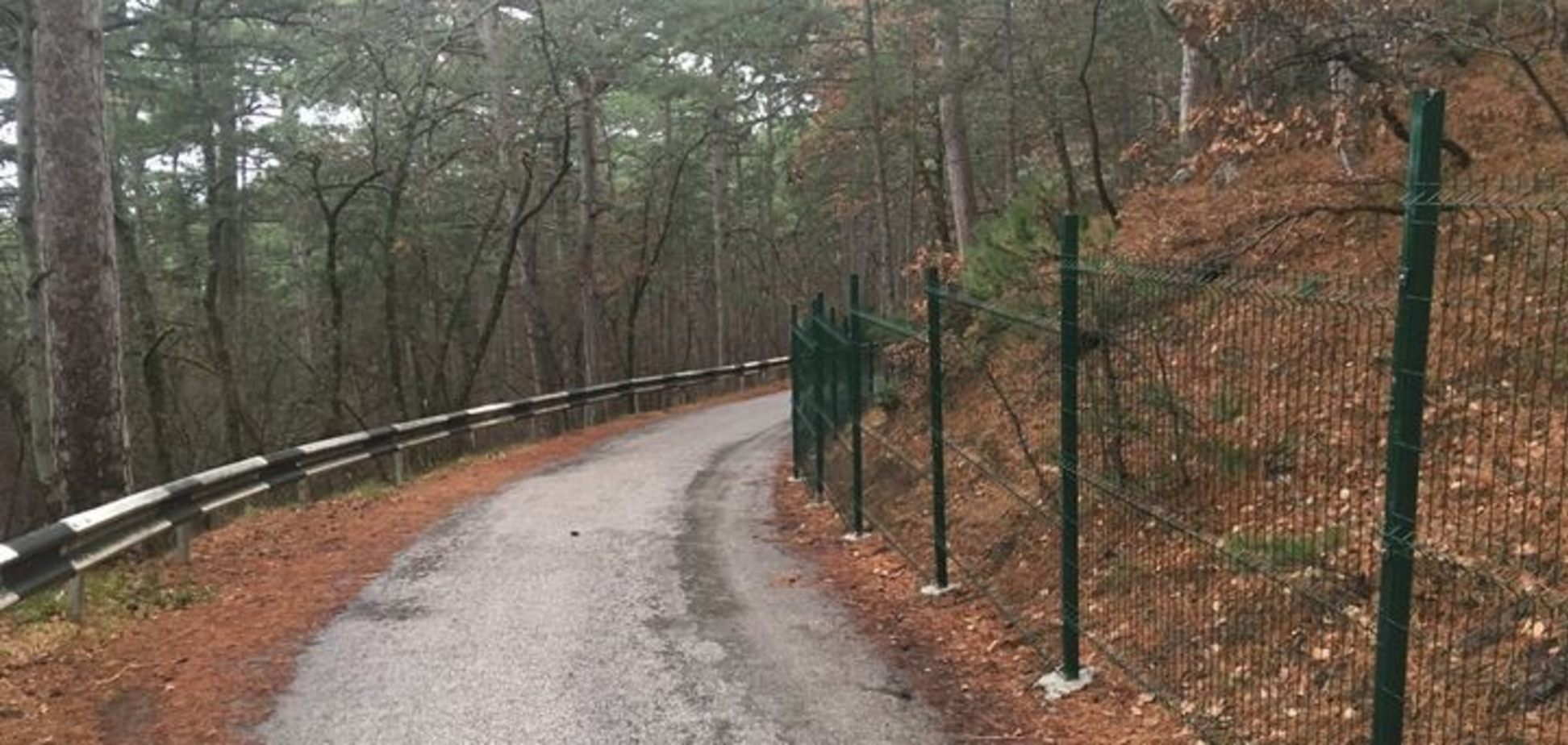 Новости Крымнаша. Страшны сон Илона Маска добрался до 'родной гавани'