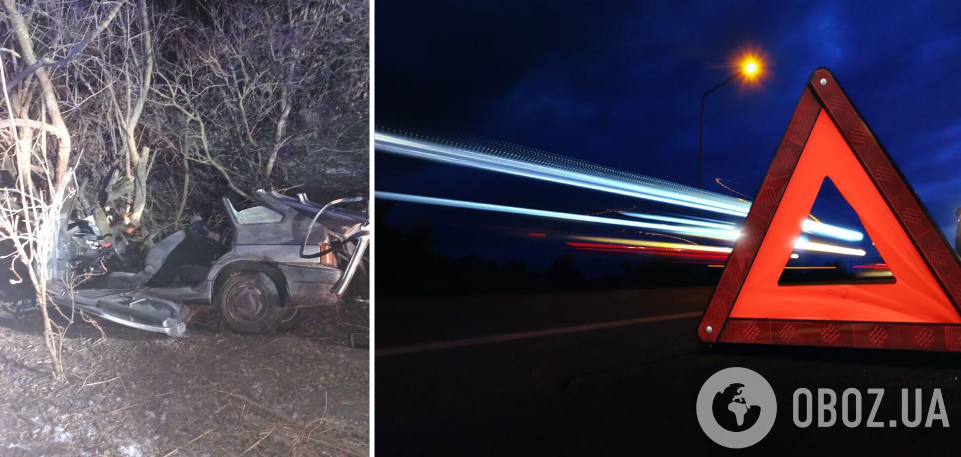На Киевщине авто слетело с дороги и врезалось в дерево, погиб подросток. Фото