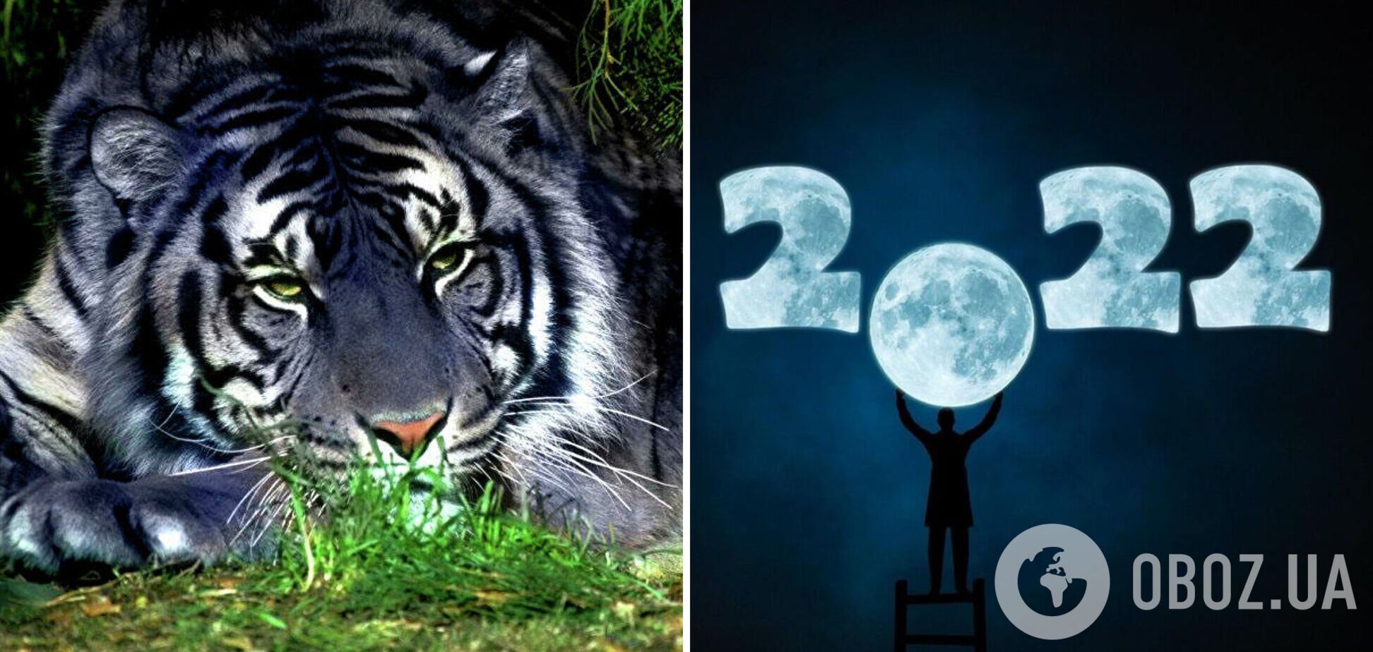 2022 рік ніжного Чорного Тигра: на нас чекає багато непередбачуваних подій?