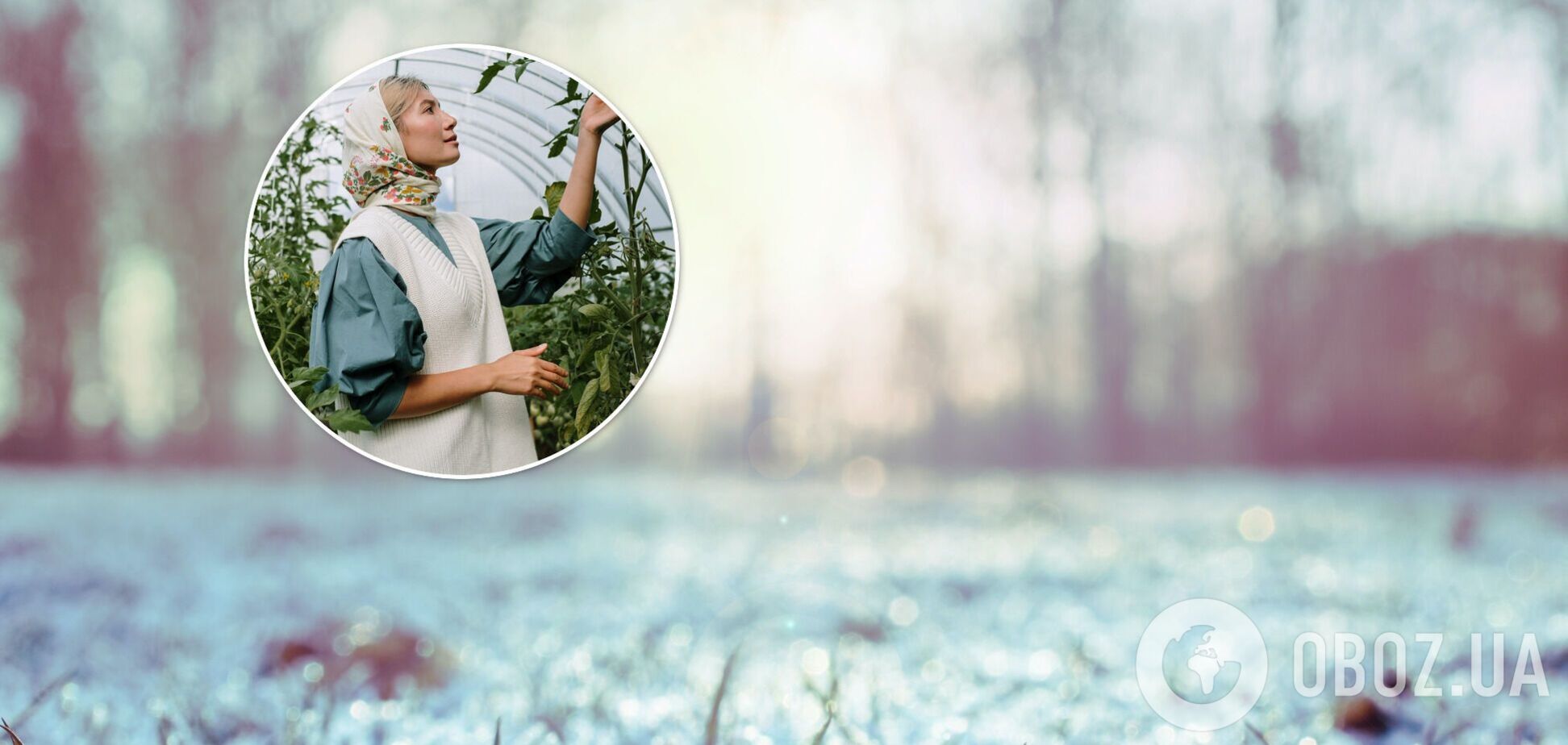 Посівний місячний календар на січень 2022 року в Україні.