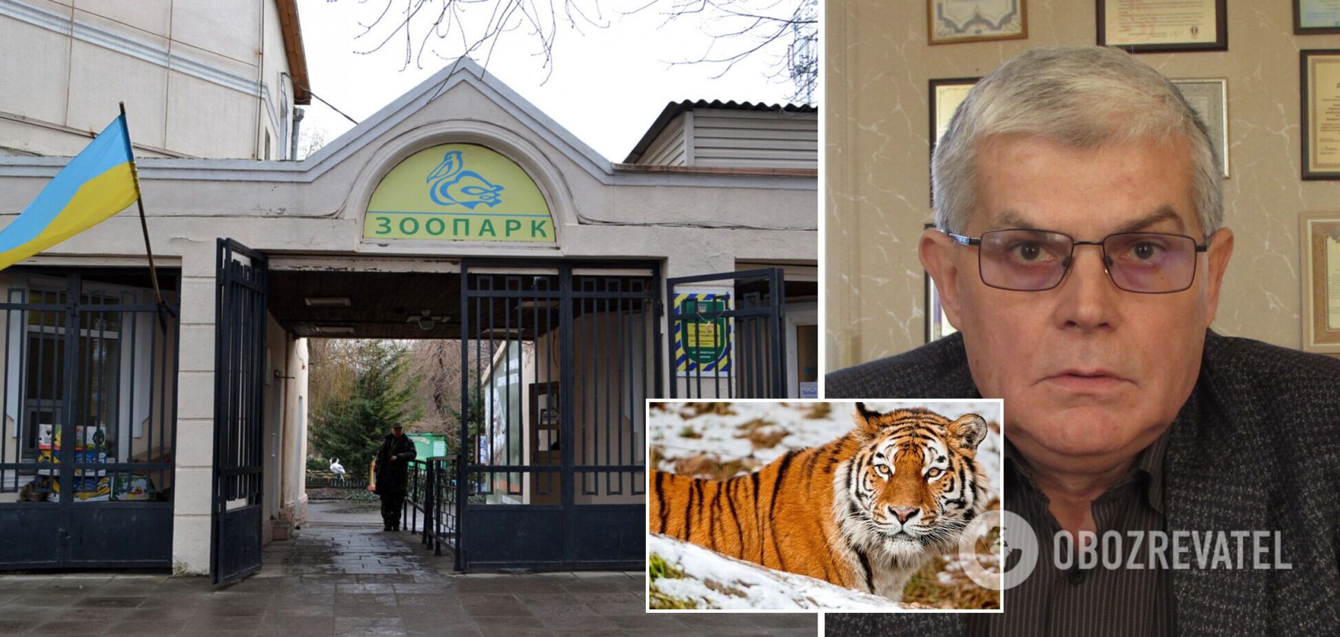 Директор Одесского зоопарка в костюме тигра снялся в ежегодном поздравлении с Новым годом. Видео