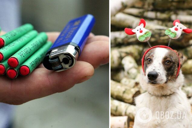 Из-за взрывов животные могут убежать и попасть под авто