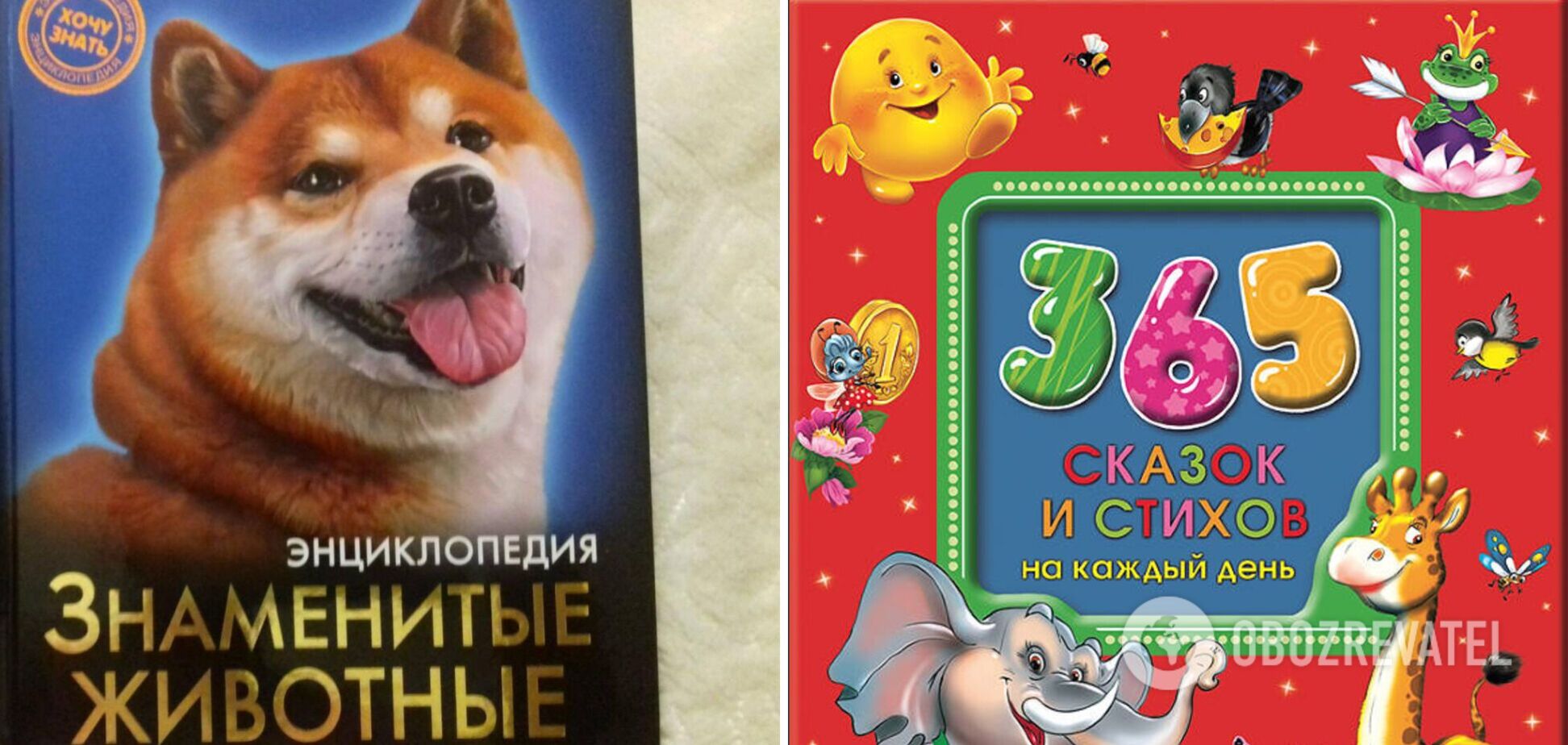 В Україні заборонили ввезення книг із російською пропагандою: дитячі видання прославляли армію РФ