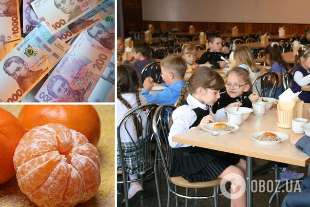 Для школ в Украине закупали мандарины по завышенным ценам