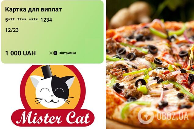 Мистер кет обошел правила Кабмина