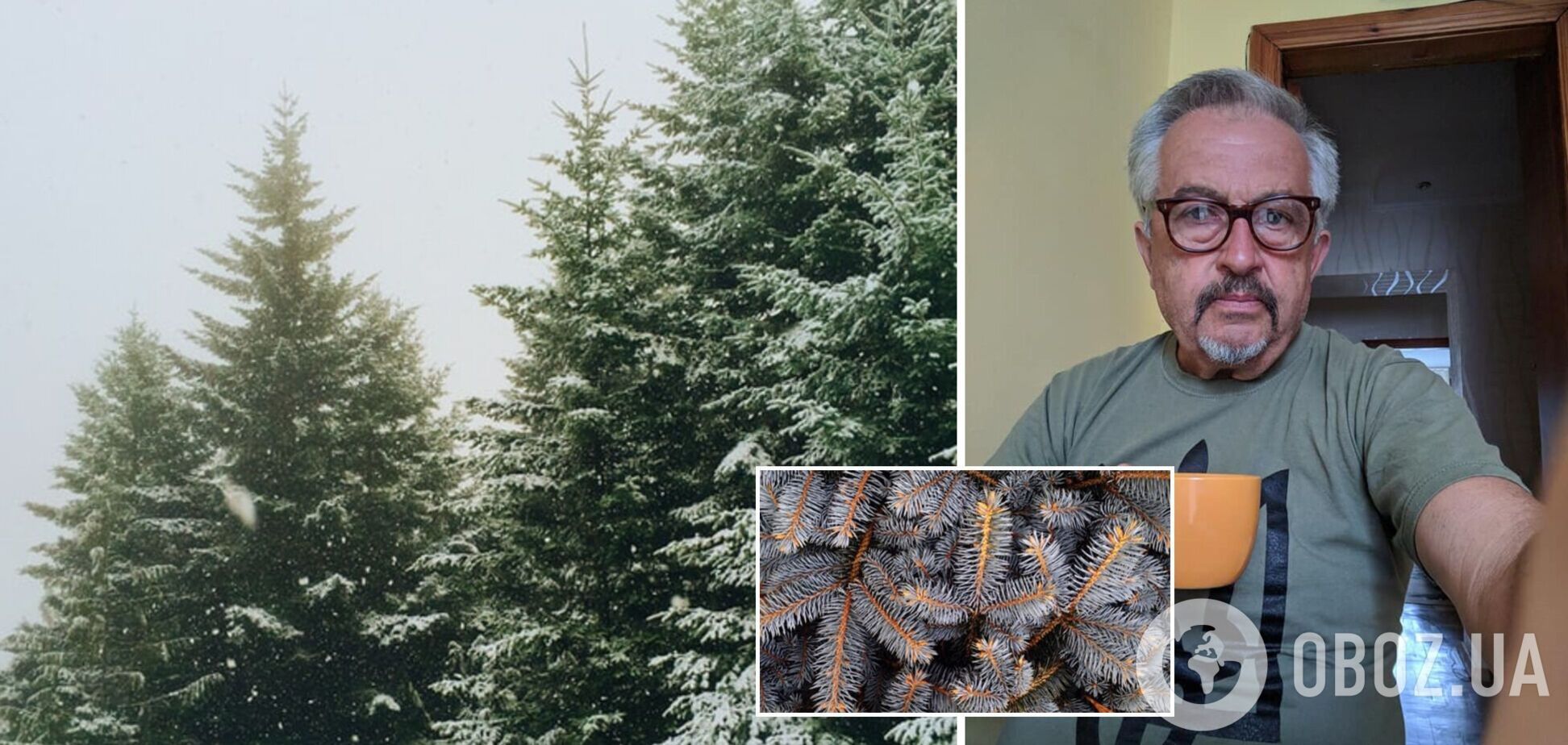 На Закарпатье мужчина измазал елки навозом и известью: хочет спасти их от воров