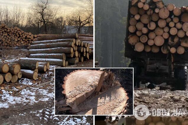 Останні новини економіки онлайн | Останні новини економіки сьогодні | Обозреватель