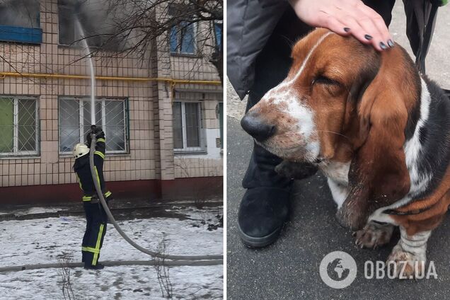Пожежники врятували жінку та собаку