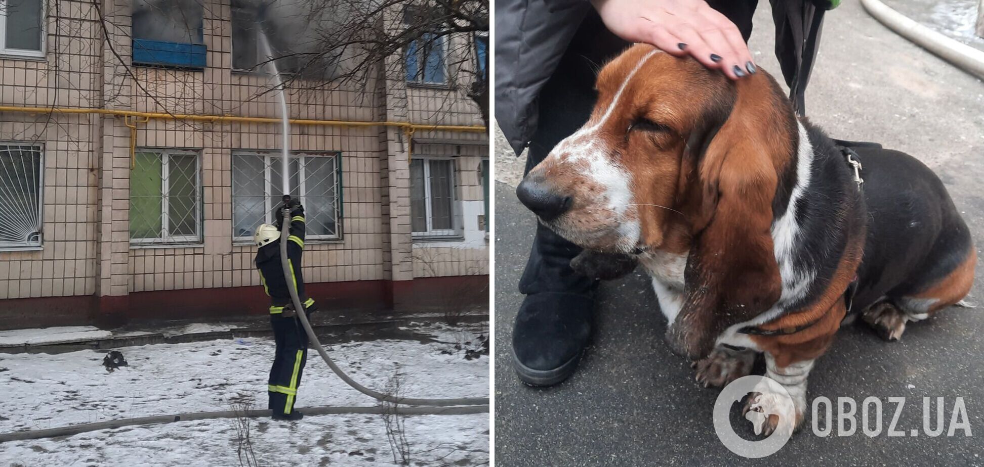 Пожарные спасли женщину и собаку