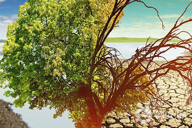 Какие города мира больше всего пострадают от изменений климата: озвучен прогноз