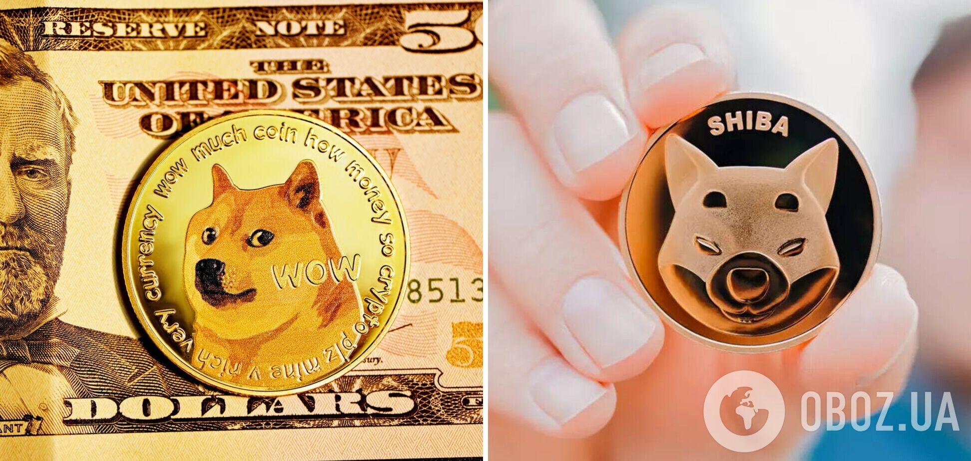 Покупка Dogecoin и Shiba Inu могла озолотить их инвесторов