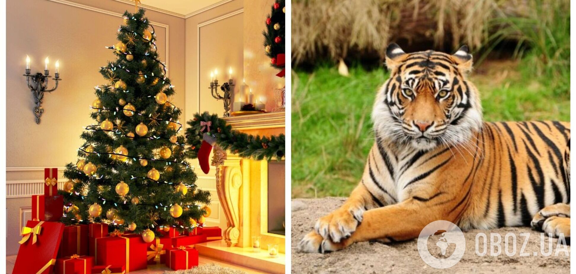 Как украшать елку на Новый год-2022, чтобы не разозлить Тигра: главные правила