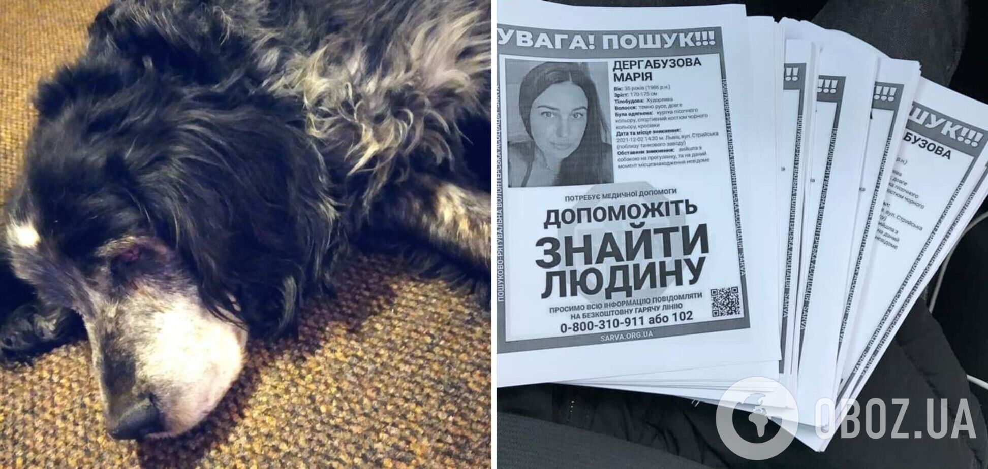Сліпий собака повернувся з прогулянки без господині: у Львові за дивних обставин пропала 34-річна жінка. Фото