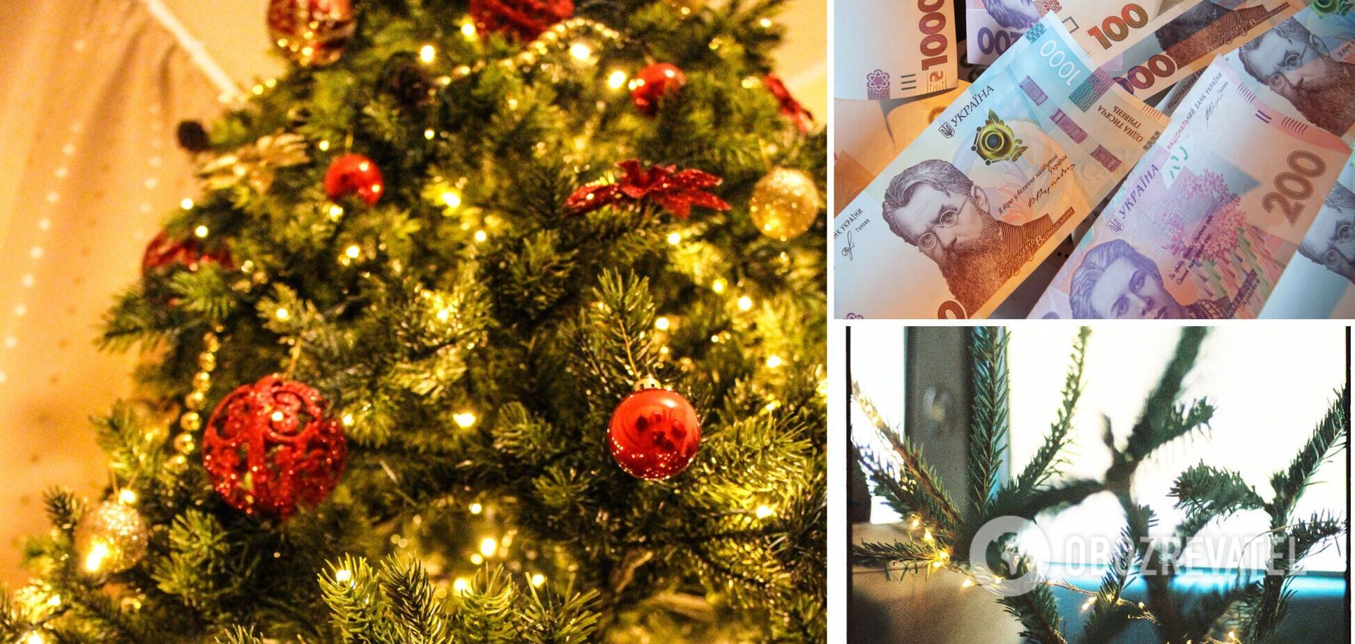 В Украине стартует продажа новогодних елок 