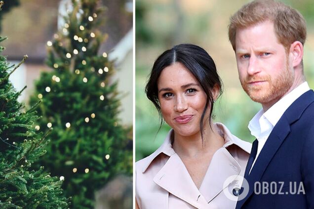 Принца Гарри приняли за продавца новогодних елок на праздничной ярмарке