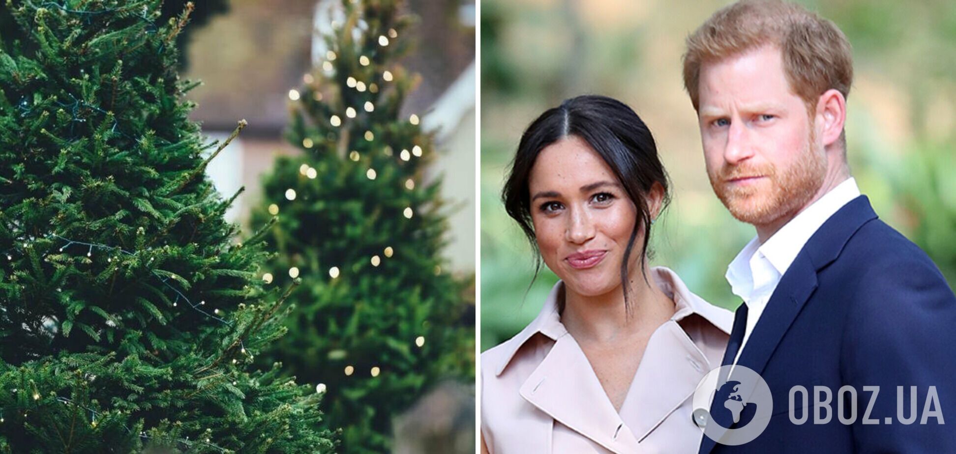 Принца Гарри приняли за продавца новогодних елок на праздничной ярмарке