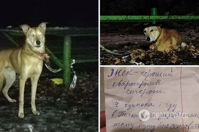 Собаку залишили прив'язаним у столичному парку